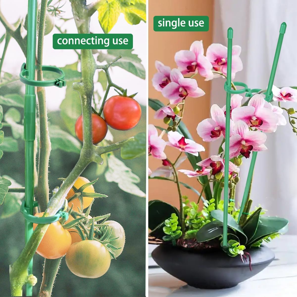 Belit 8 Pack Plant Supports for Small Plants, Garden Flowers Green Plant Support Ring, Planter Support Ring for Schlumbergera, Clivia, Succulents