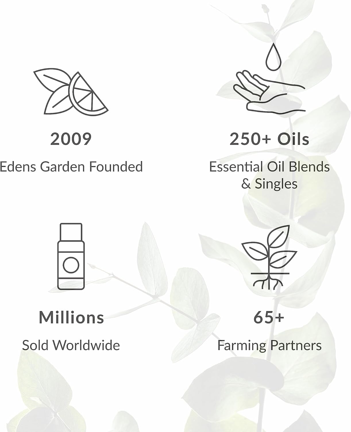 Edens Garden Cedarwood-Texas Essential Oil- 100% Pure 10 ml (.33 fl oz)