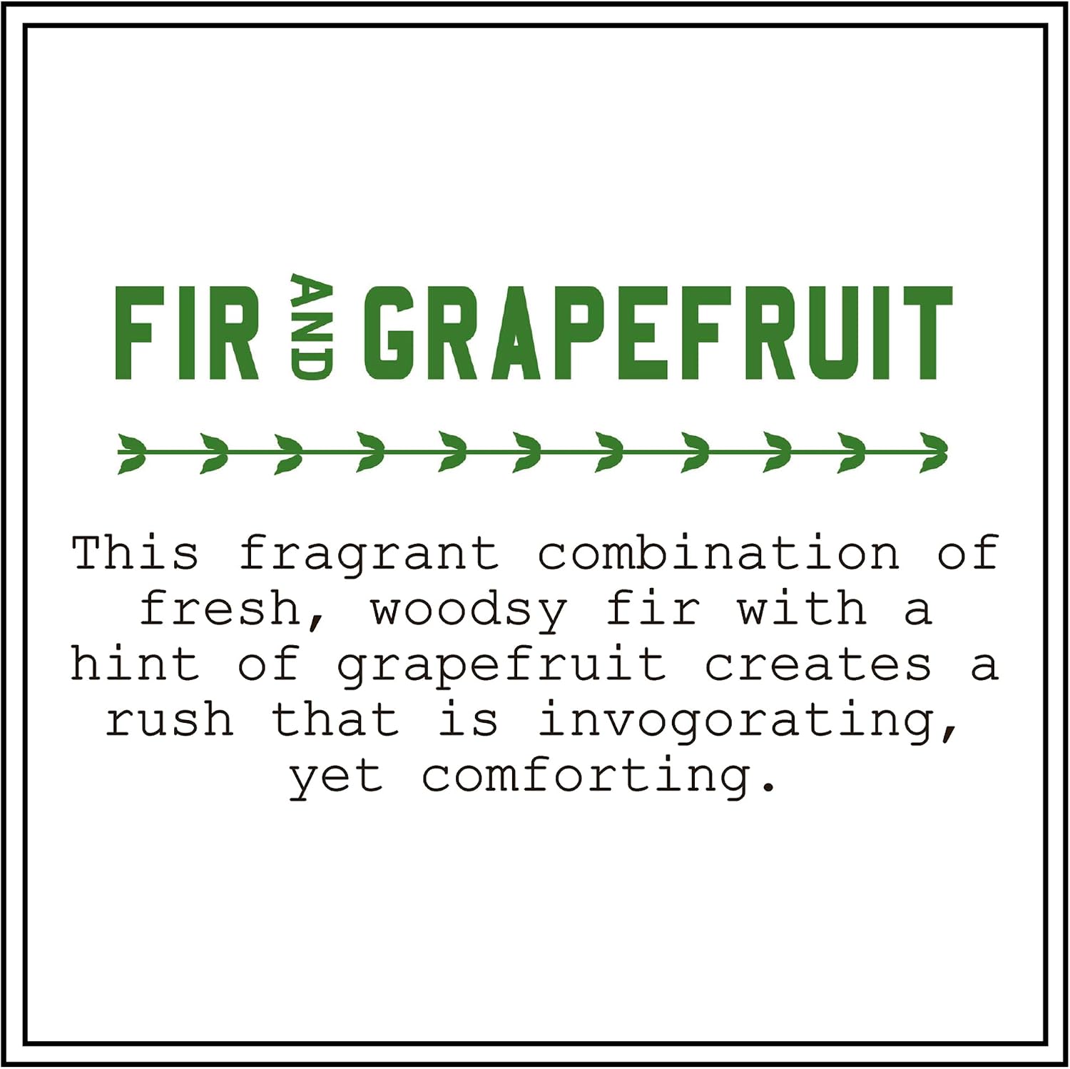 Barr-Co. Fir & Grapefruit Glass Tumbler Candle, 20 oz | Woody Citrus Scent, Long Burning Soy Wax Candle, Scented Candles for Home, Bathroom & Office, 120-Hour Burn Time