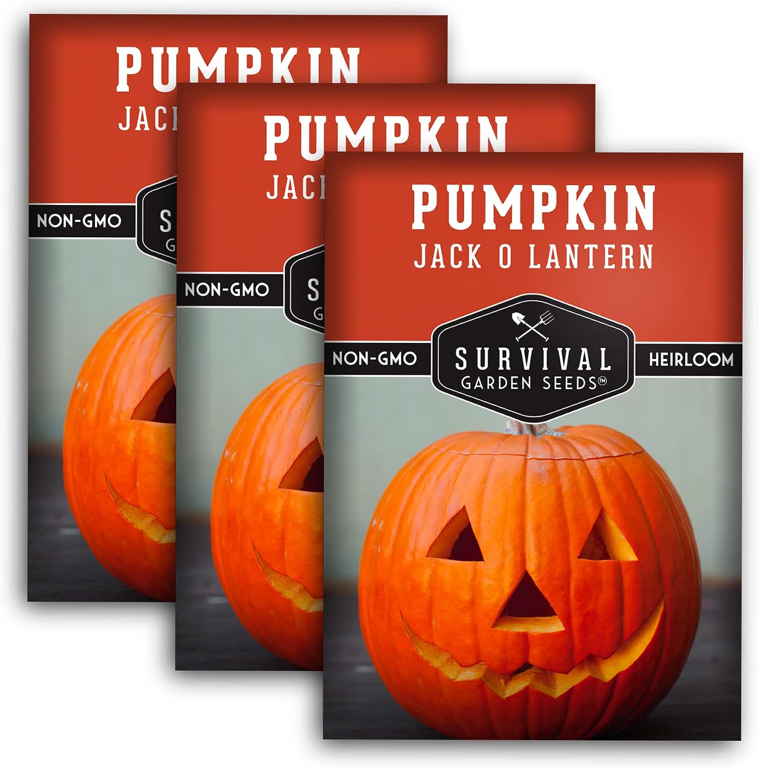 Jack O' Lantern Pumpkin Seeds for Planting - 1 Pack