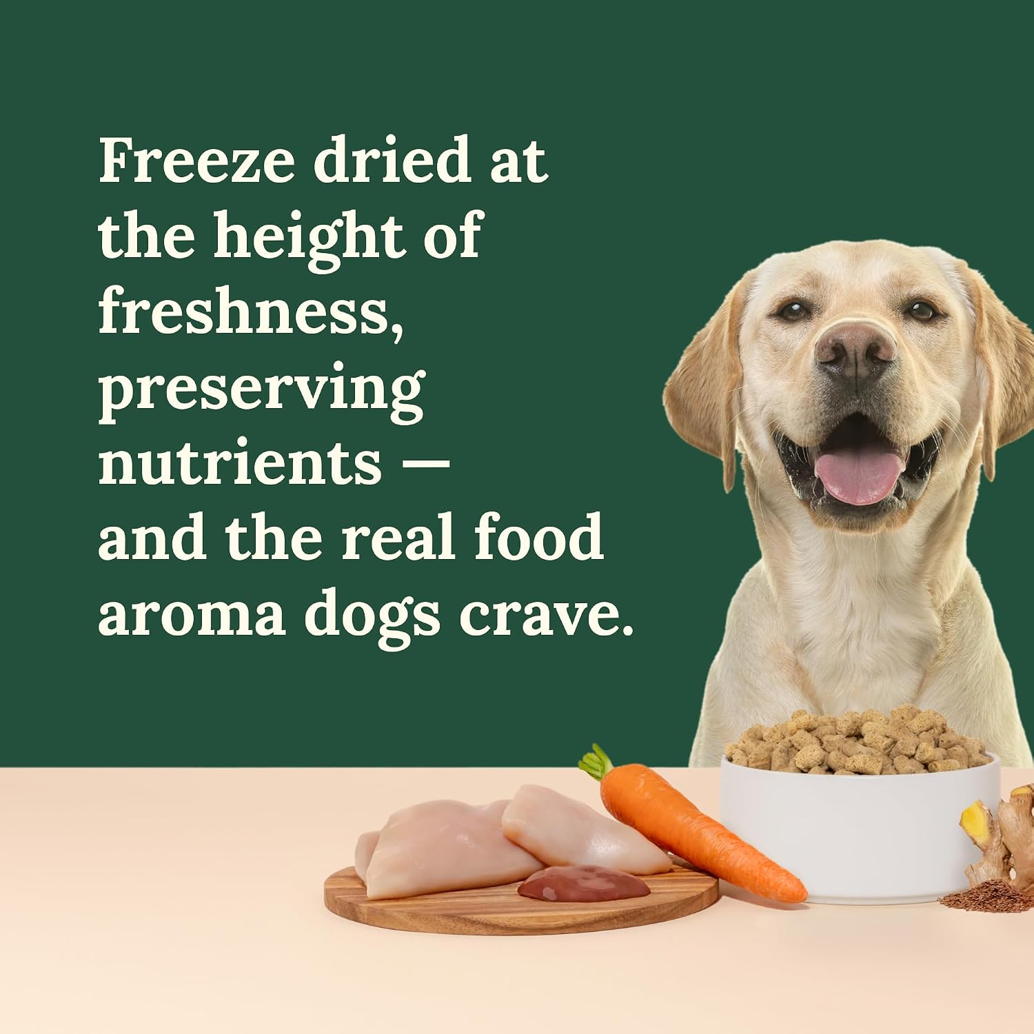 360 Pet Nutrition Freeze-Dried Raw Dog Food – Multi-Protein with Beef, Chicken, Fish, Liver & Organs