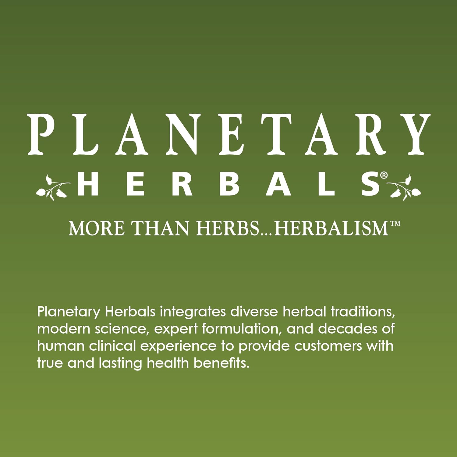 Planetary Herbals Stone Free Tablets, 90 Count