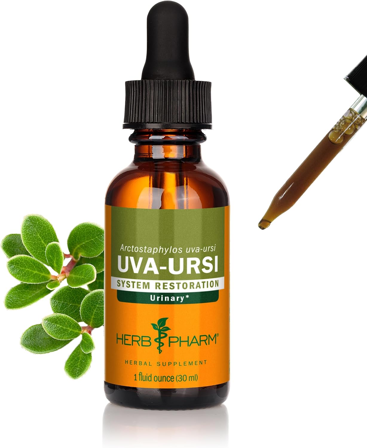 Herb Pharm Uva Ursi Liquid ExtraCount for Urinary System Support, 1 Oz