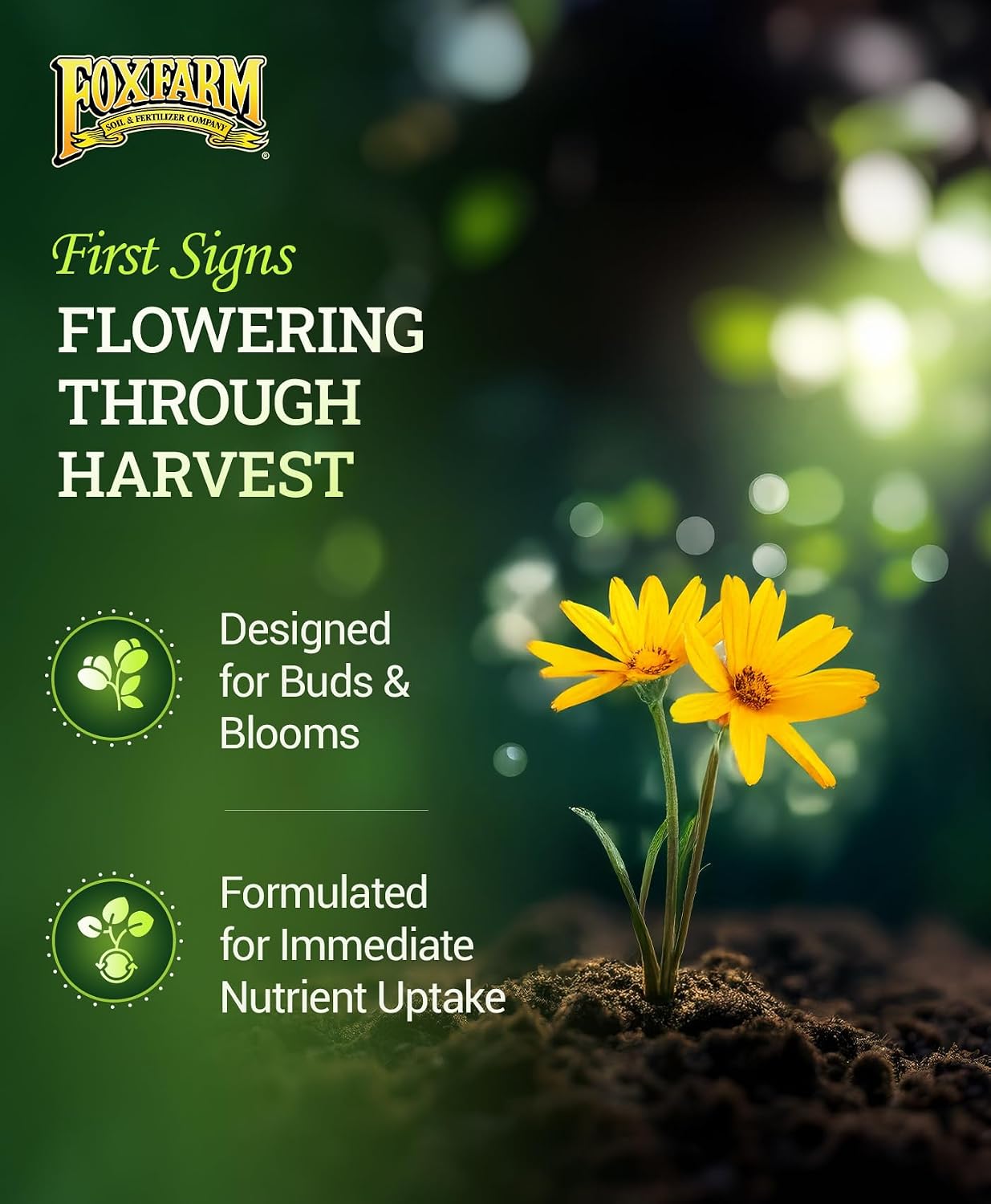 FoxFarm Tiger Bloom Liquid Plant Food - Phosphorus Fertilizer for Buds, Blooms & Flowering - Supports Soil & Hydroponic Systems - High Micronutrient Formula with 2-8-4 Nutrient Ratio - 1 Quart
