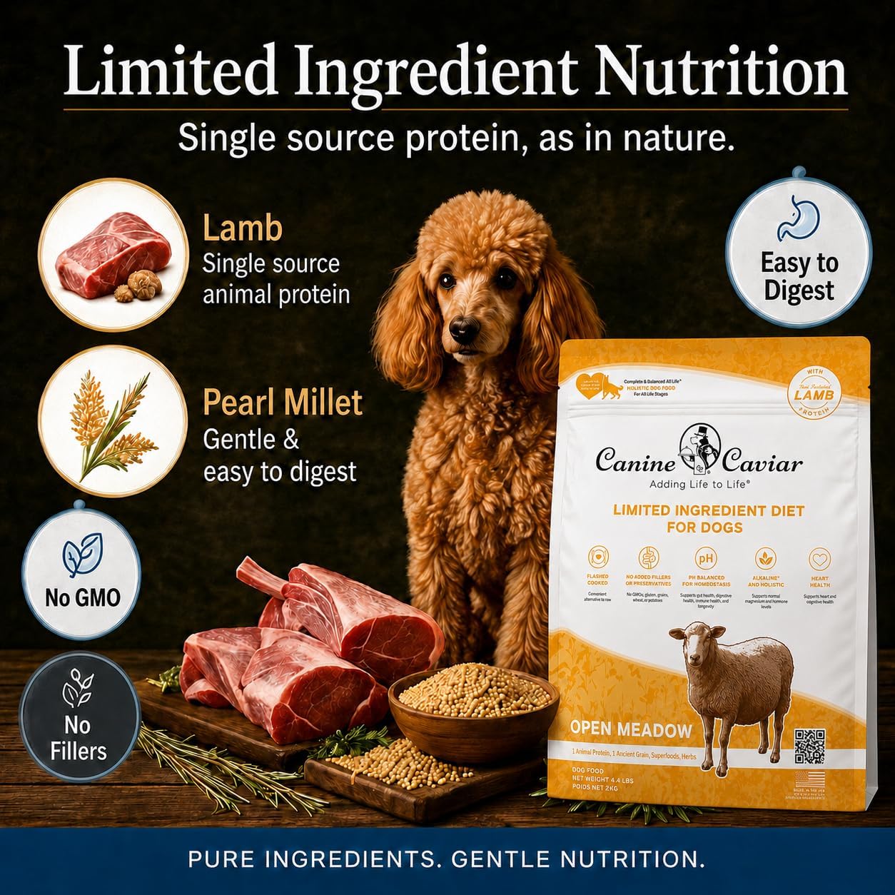 Canine Caviar - Open Range: Water Buffalo & Chickpea Alkaline Dry Dog Food, Limited Ingredients, Gluten-Free, Based on Science & Research, Veterinary Alternative Diet (22 Pound Bag)