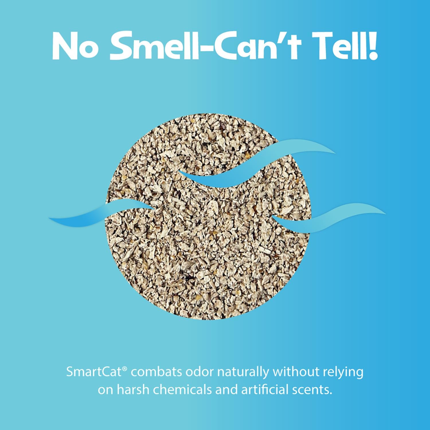 SmartCat All Natural Clumping Cat Litter, 10 Pound (160oz 1 Pack) - Alternative to Clay and Pellet Litter - Chemical and 99% Dust Free - Unscented and Lightweight