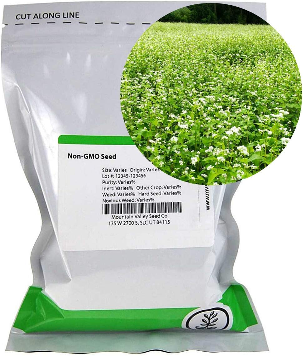 Mountain Valley Seed Co Buckwheat Seeds - 25 Lb Bulk ~300,000 Seeds