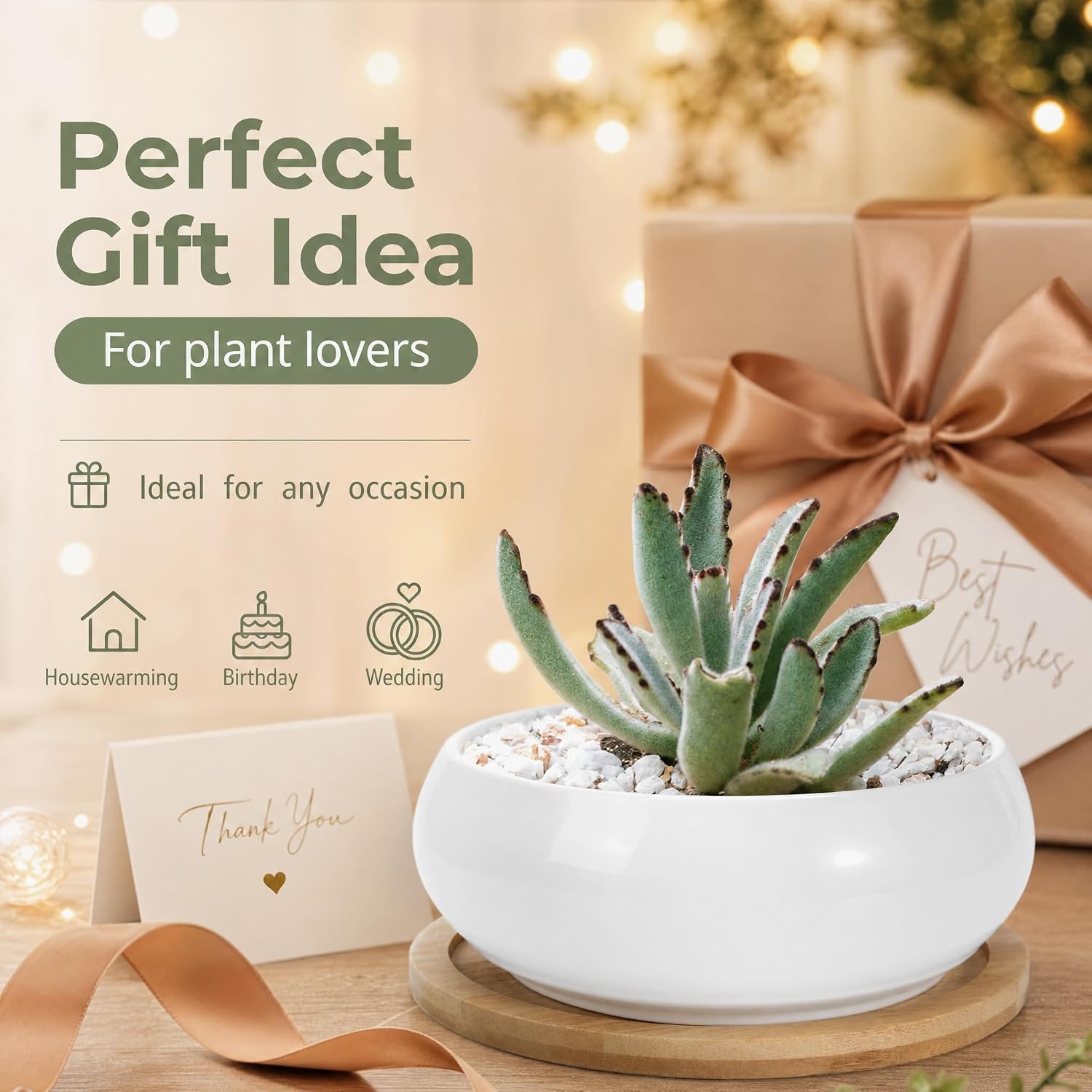 ZOUTOG 2 Pack 6" Ceramic Succulent Pots, White Planters with Drainage Tray