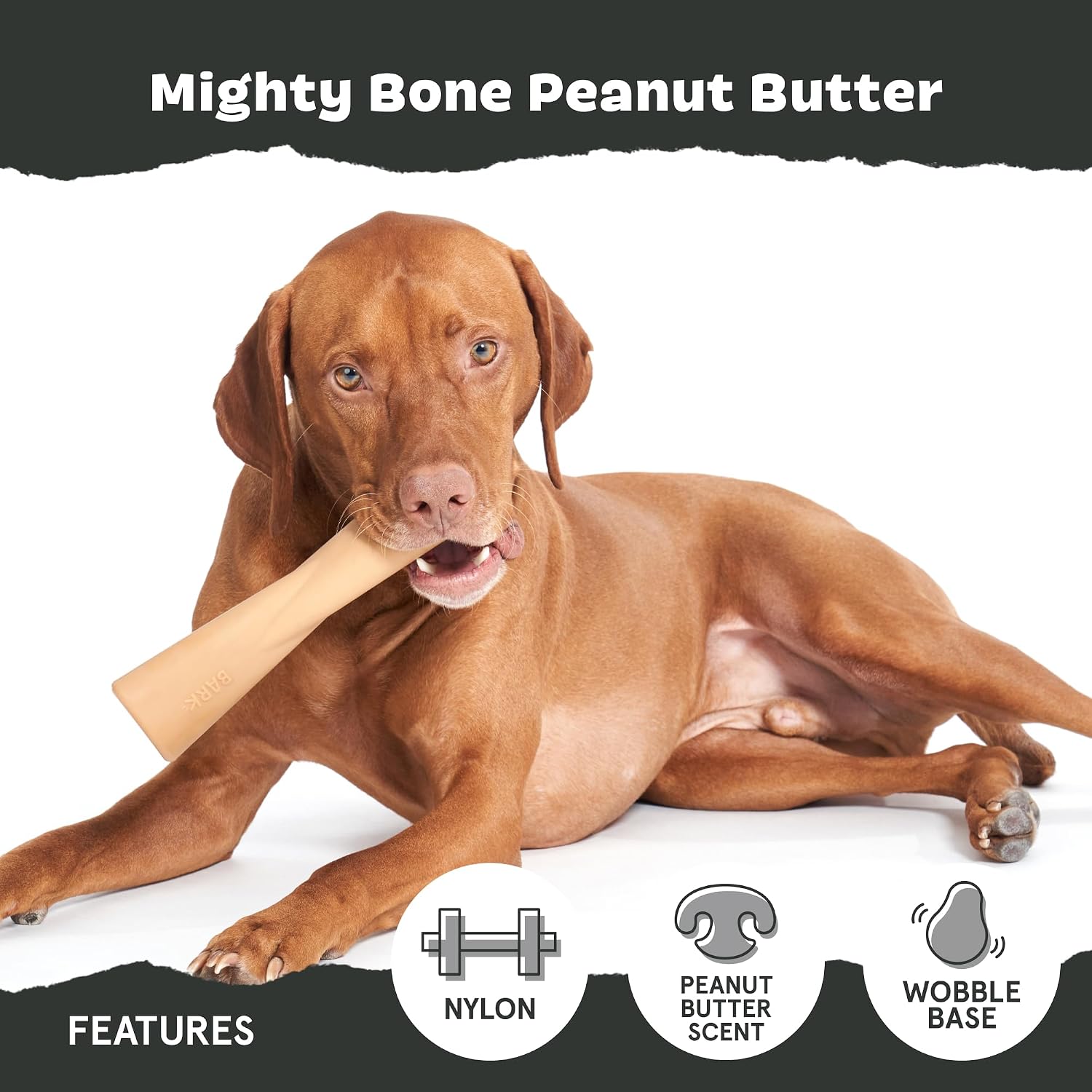 BarkBox Turkey Super Chewer - Toy for Large Dogs