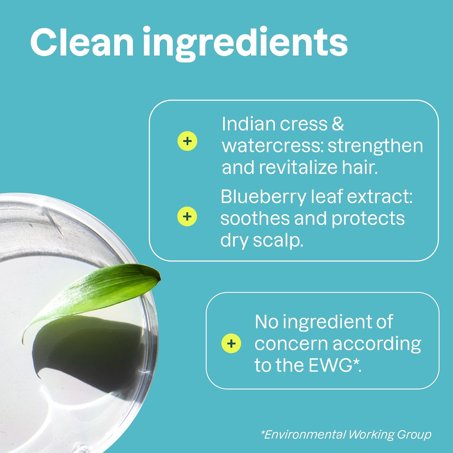 ATTITUDE Clarifying Hair Shampoo, EWG Verified, Restores Shine, Naturally Derived Ingredients, Vegan and Plant Based, Lemon Leaves and White Tea, 16 Fl Oz