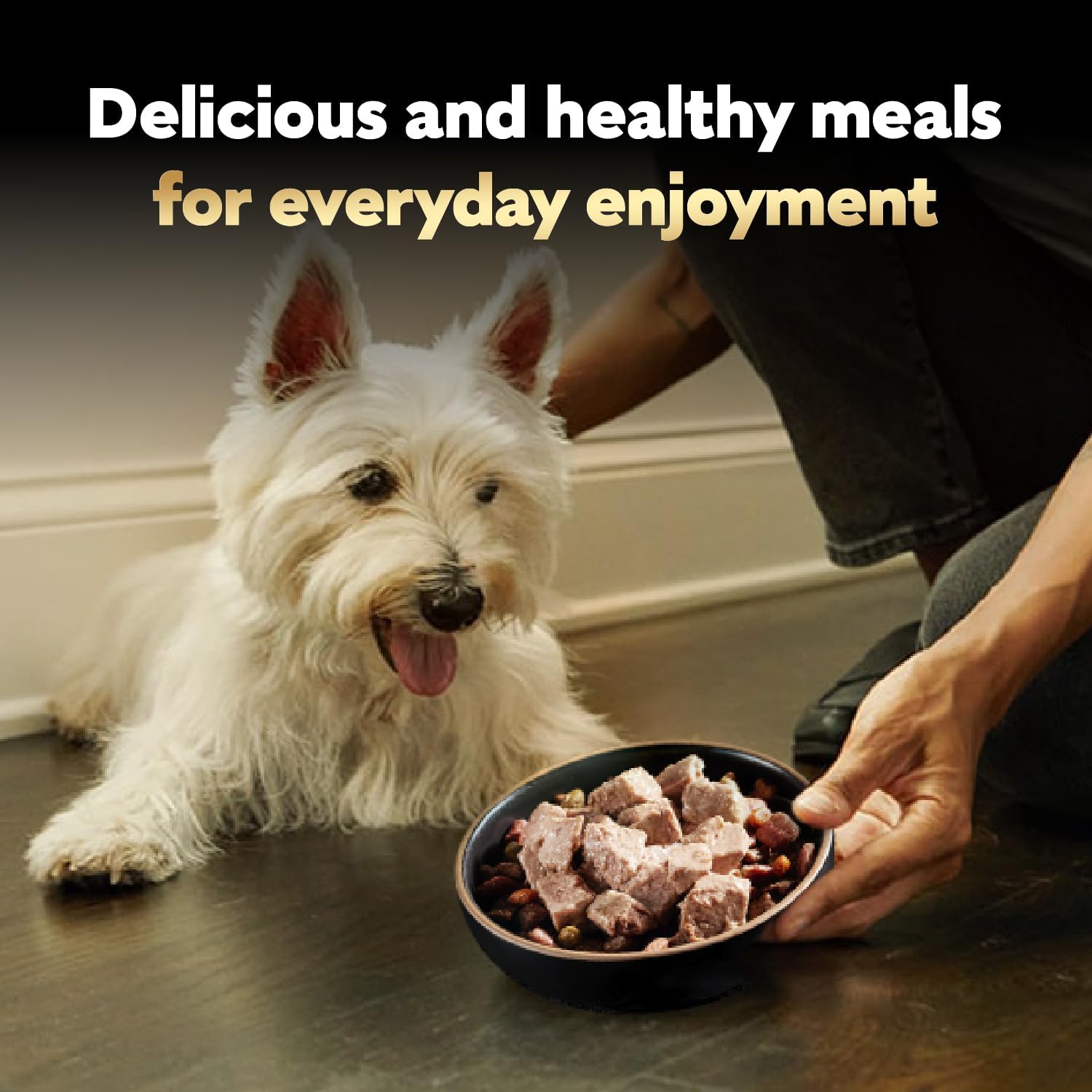 Cesar Classic Loaf Wet Dog Food, Meaty Selects, 3.5 oz, 12 Count, 2-Pack | Made in USA, Filet Mignon & Porterhouse Steak flavors, real beef #1 ingredient, no artificial flavors, easy peel trays