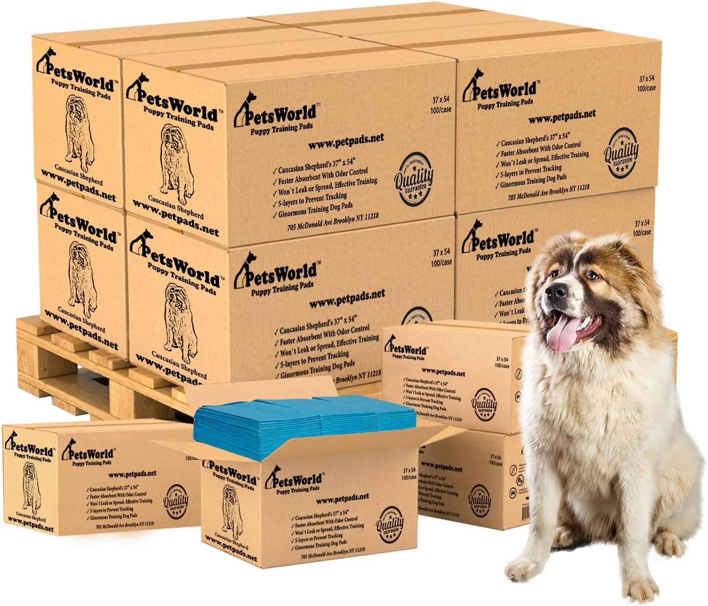 PetsWorld Enormous Dog Pee Pads 37"x54" 50 Count – XXXL Pet Pee Pads for Giant Dogs & Pets, Heavy Duty Leak-Proof Dog Training Pads, Super Absorbent Quick-Dry Potty Pads with Adhesive Tabs