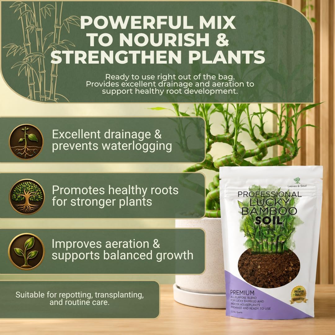 Professional Bonsai Soil Mix Ready to Use | Large 2.2 Quarts, Premium Potting Soil for Bonsai Trees