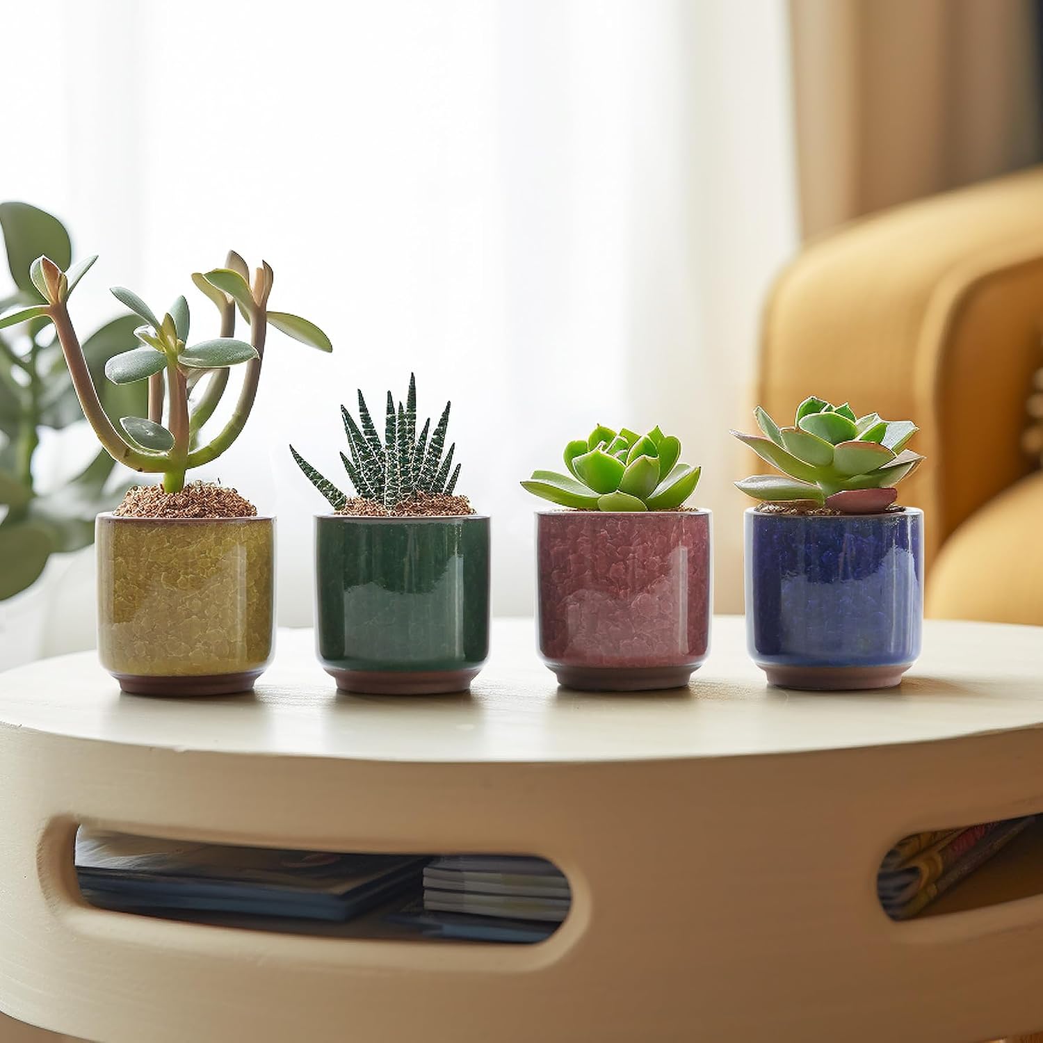 T4U 2.5 Inch Small Ceramic Succulent Planter Pot with Drainage Hole Set of 6, Ice Crack Glaze Plant Container for Cactus, Gardening Plant Gifts for Women Mom Aunt Home Office Decor | Cactus planters set, indoor herb garden, bonsai tree starter, tabletop…