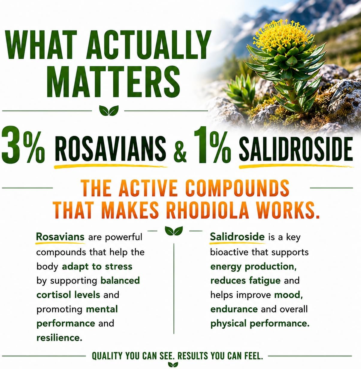 Rhodiola Rosea Supplement High Potency Extract 500mg - 3% Rosavins 1% Salidrosides with Ashwagandha Shisandra Passion Flower Herb Powder Capsules