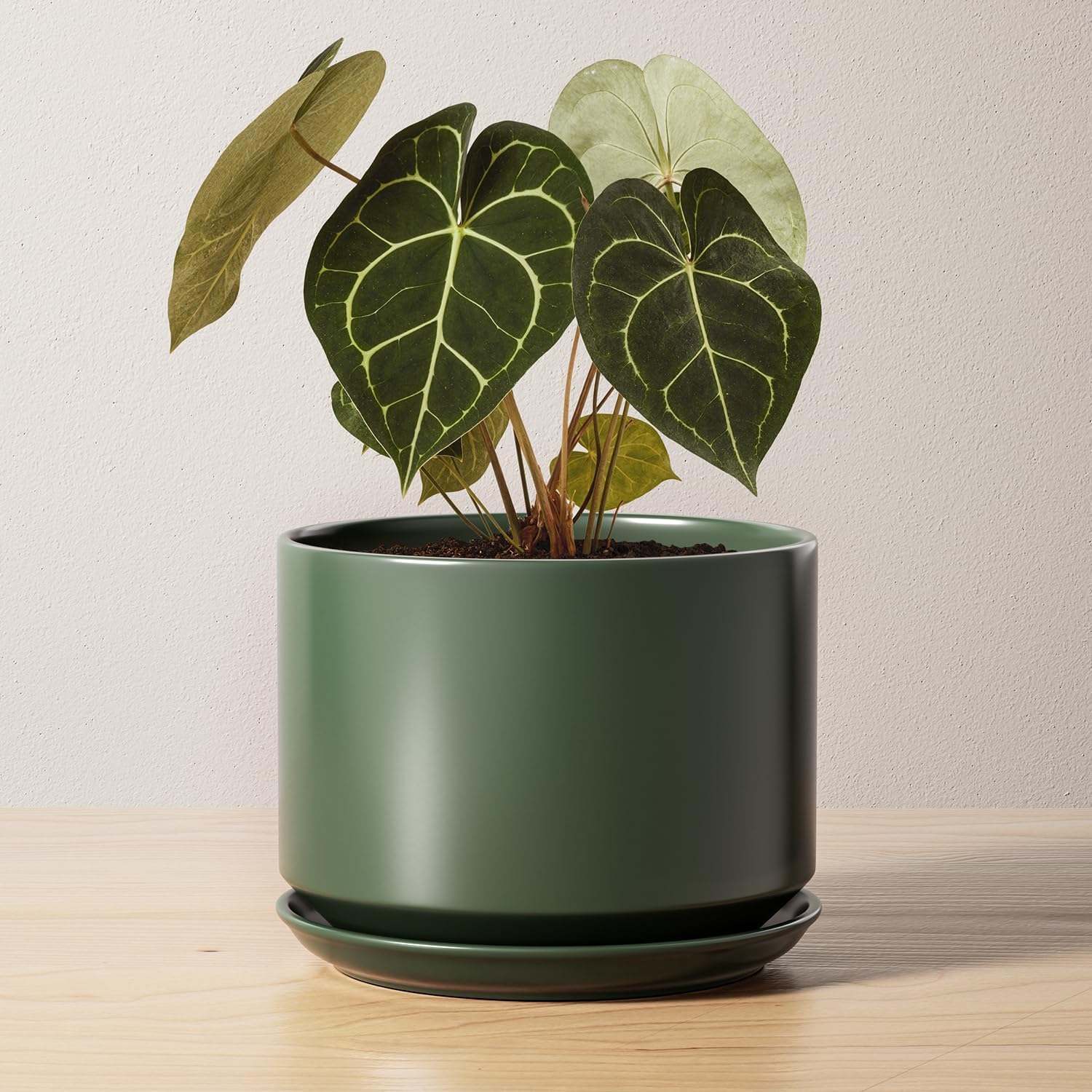 LE TAUCI Ceramic Plant Pots, 4.3+5.3+6.8 inch, Set of 3, Planters with Drainage Hole and Saucer, Indoor Flower Pot with Hole Mesh Pad, Gifts for Mom