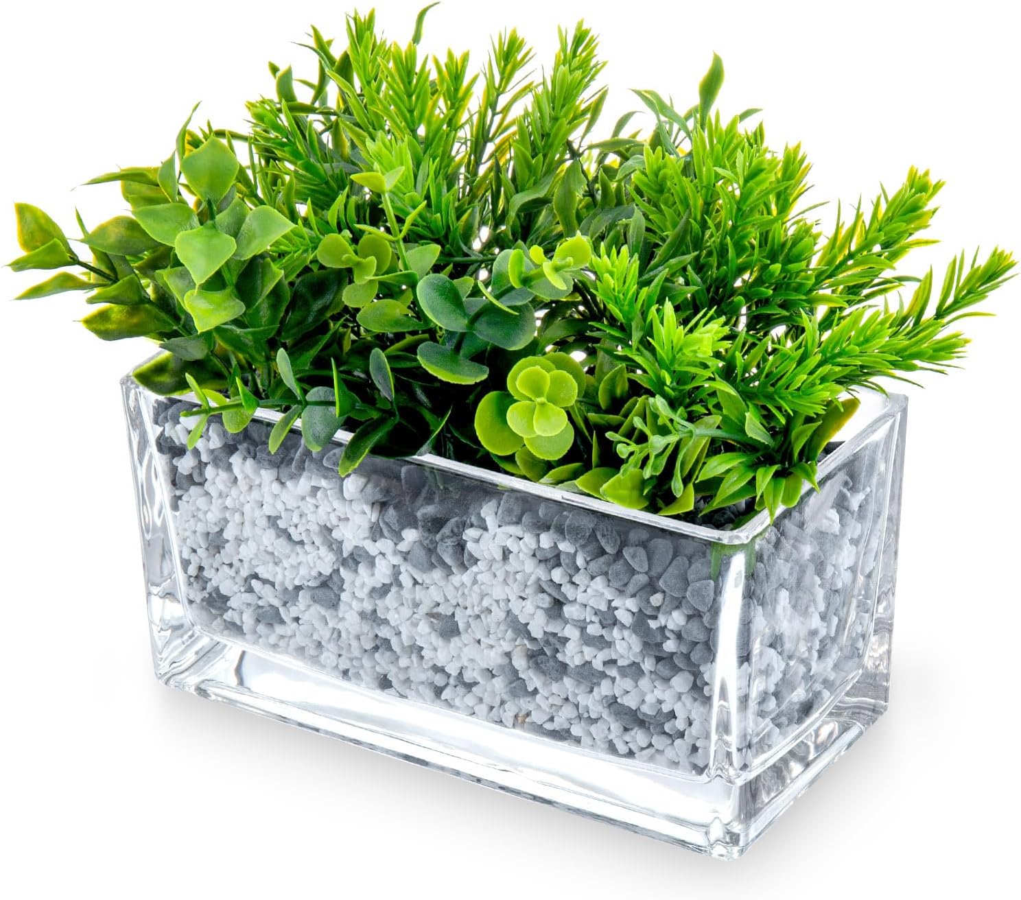 MyGift 7.8 Inch Modern Rectangular Glass Vase Trough Planter Terrarium | Clear Display Design, Tabletop Floral Centerpiece, Succulent Showcase