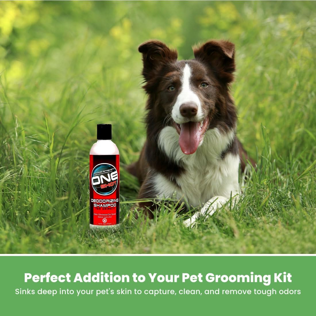 Best Shot One Shot Deodorizing Shampoo, Coat and Skincare Product for Dogs, Cats, and Horses, Eliminates Foul Odors, 1 Gallon