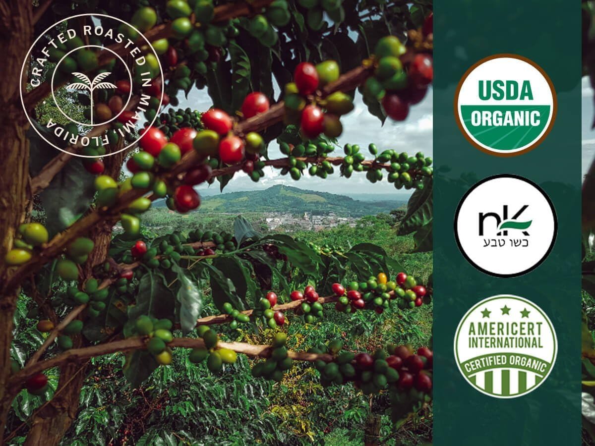 Artizan Coffee USDA Organic Espresso Coffee Capsules For Nespresso Original | Signature Blend Variety | 40 Compatible Compostable Pods