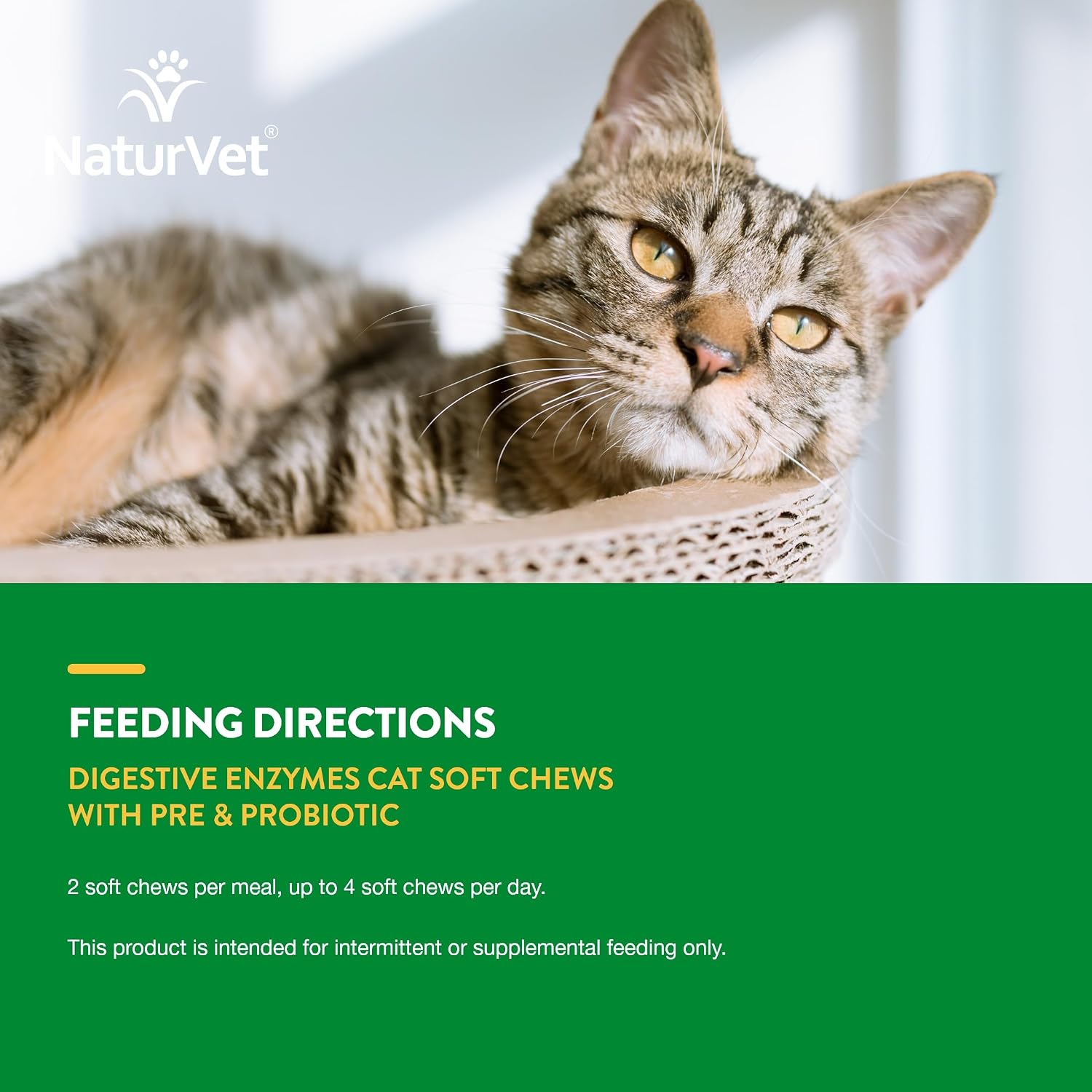 NaturVet Digestive Enzymes with Pre & Probiotic for Dogs & Cats - 8 oz | Supports Diet Changes & a Healthy Digestive Tract with Prebiotics, Powder