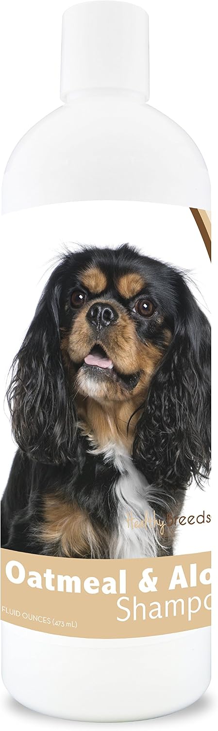 Healthy Breeds Bernese Mountain Dog Oatmeal Shampoo with Aloe 16 oz