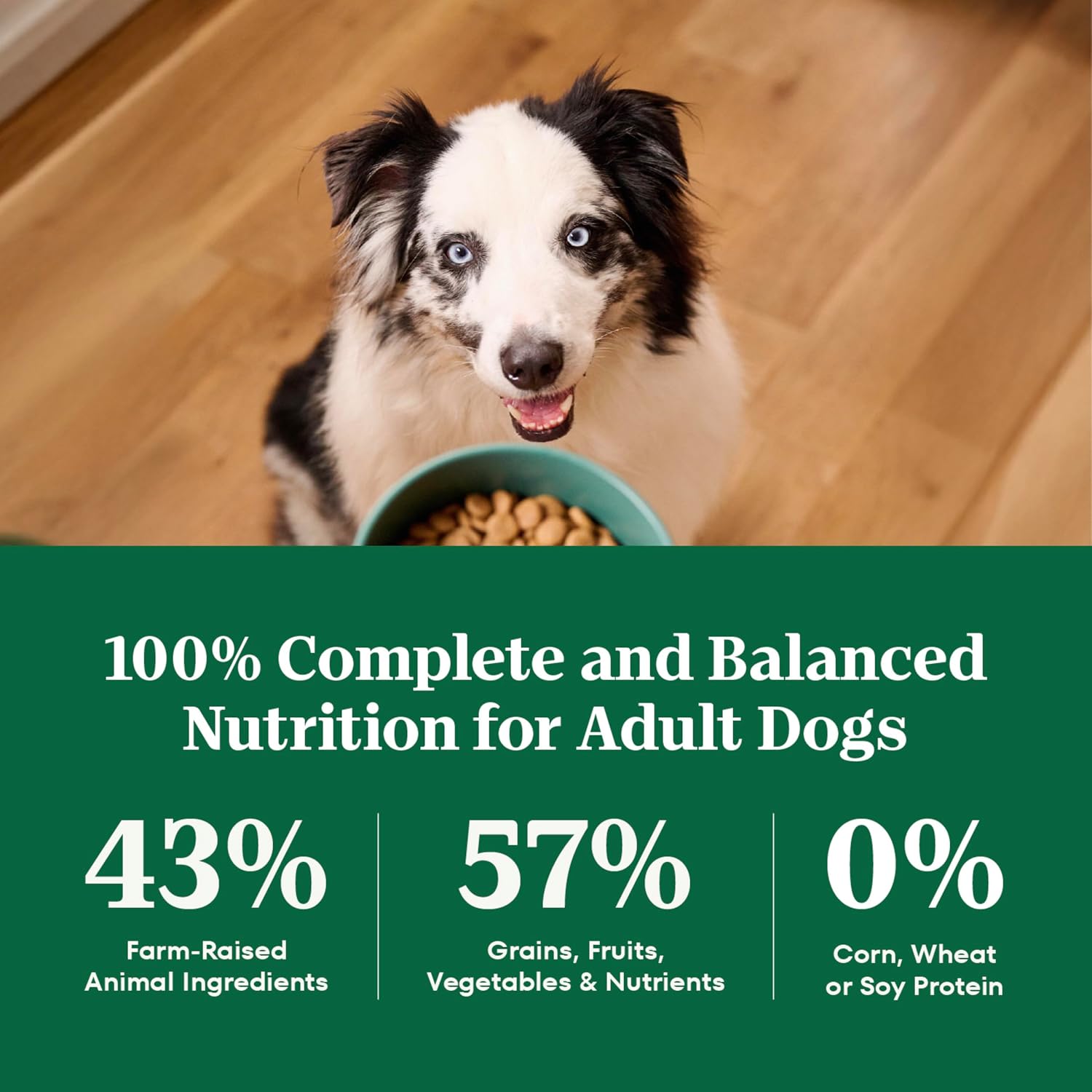 Nutro Natural Choice Adult Dry Dog Food, Chicken & Brown Rice Recipe, 5 lb | Non-GMO, Real chicken #1 ingredient, no corn, wheat, soy or chicken by-product meal, supports skin & coat/digestion/immunity