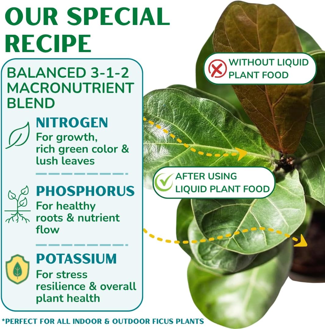 Fiddle Leaf Fig Plant Food, 3-1-2 NPK Liquid Fertilizer for Ficus, 8 oz