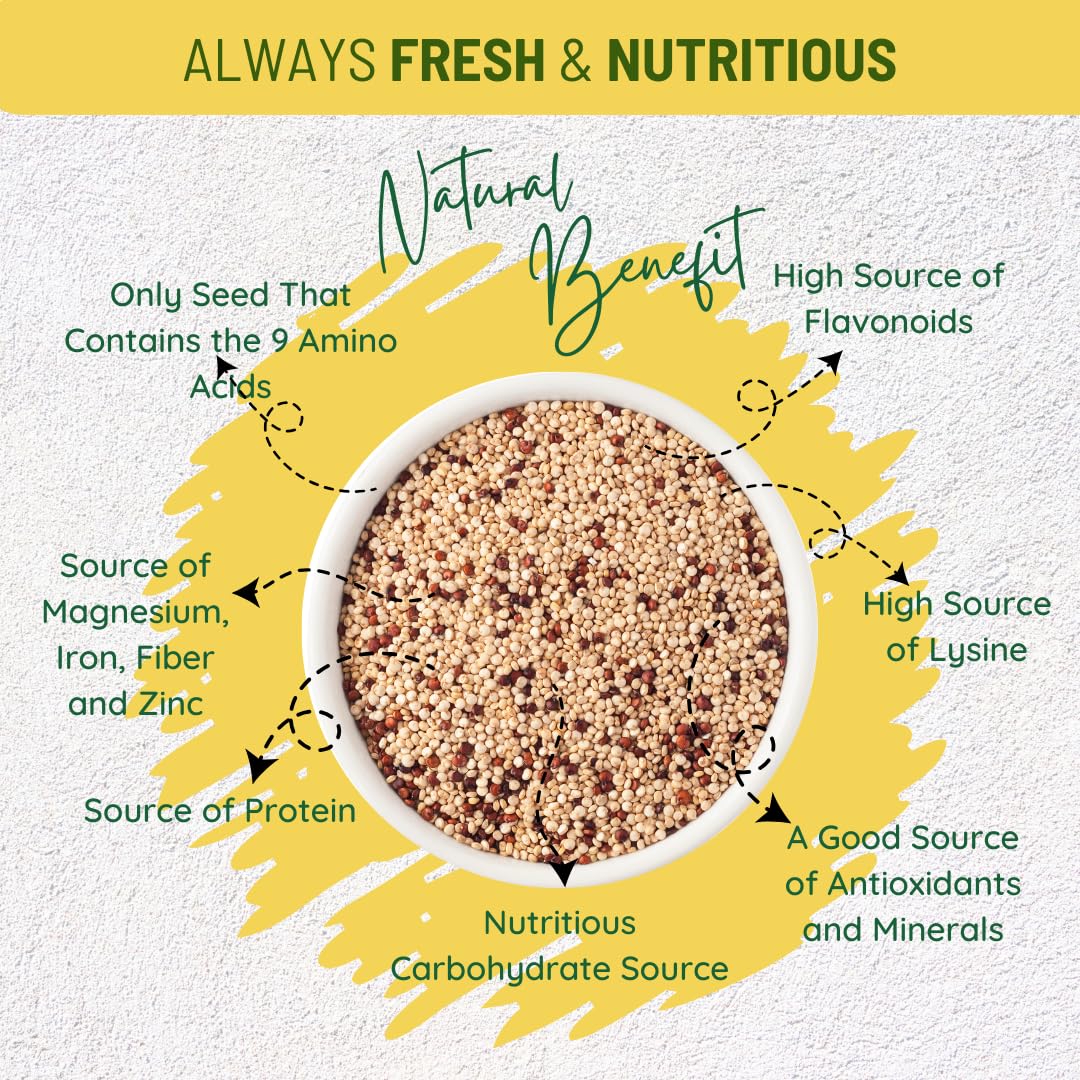Sunbest Natural Organic Brown Sesame Seeds 32 oz.(2 lb) - USDA Organic, Non-GMO, Vegan, Gluten-free, Kosher - Fresh & Nutrient-Rich Snack, Topping, Baking - 2-Pack 16 oz