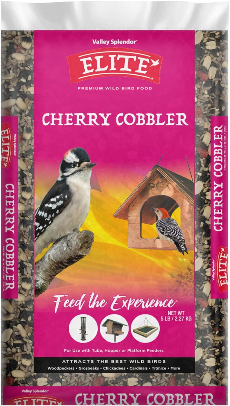 Cherry Cobbler