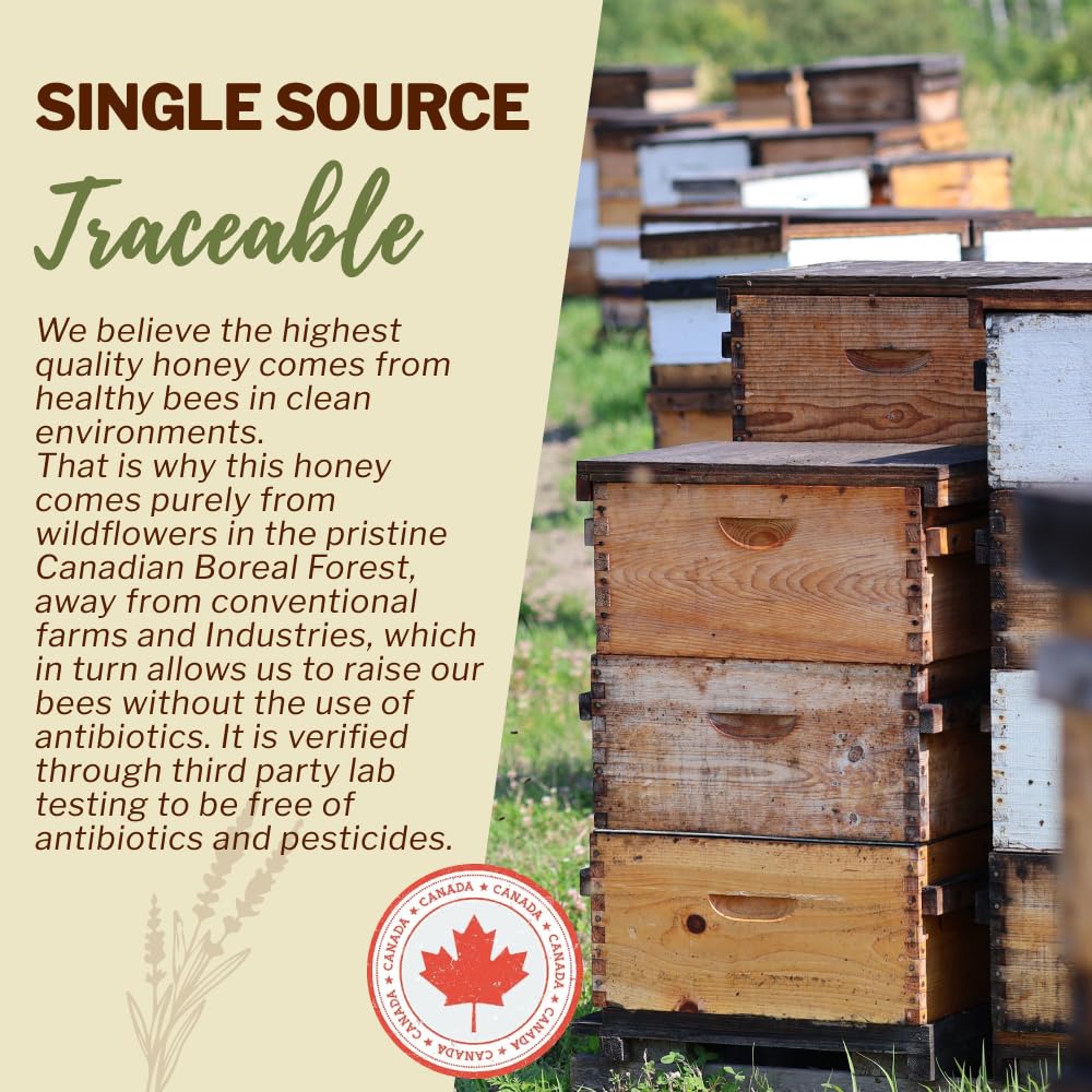 Oneroot 100% Canadian Wildflower Honey - 1.1 lbs, Unheated & Creamed - Nutrient-Rich, Natural Sweetener with Enzymes - Thick & Pure Raw Unfiltered Honey