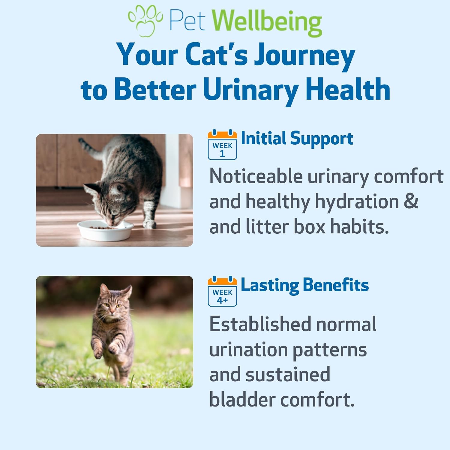 Pet Wellbeing Urinary Gold for Cats - Urinary Tract & Bladder, 2 oz | NASC Certified & Vet-Formulated Liquid Supplement with Marshmallow Root & Echinacea for Urinary System & Bladder Support