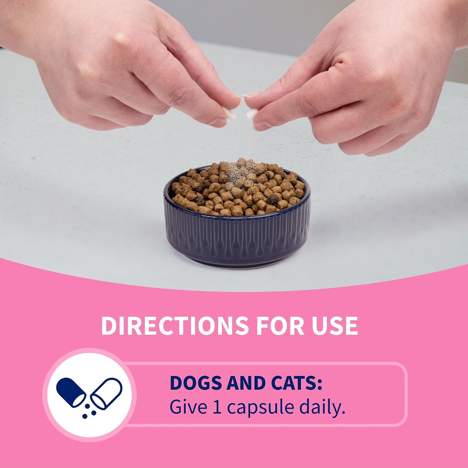 Nutramax Proviable Probiotics + Prebiotics, for Dogs & Cats, Capsules, 80ct | Probiotics and Prebiotics for Cats and Dogs, Daily Gut Health Support Supplement, Multiple Strains, Sprinkle on Food