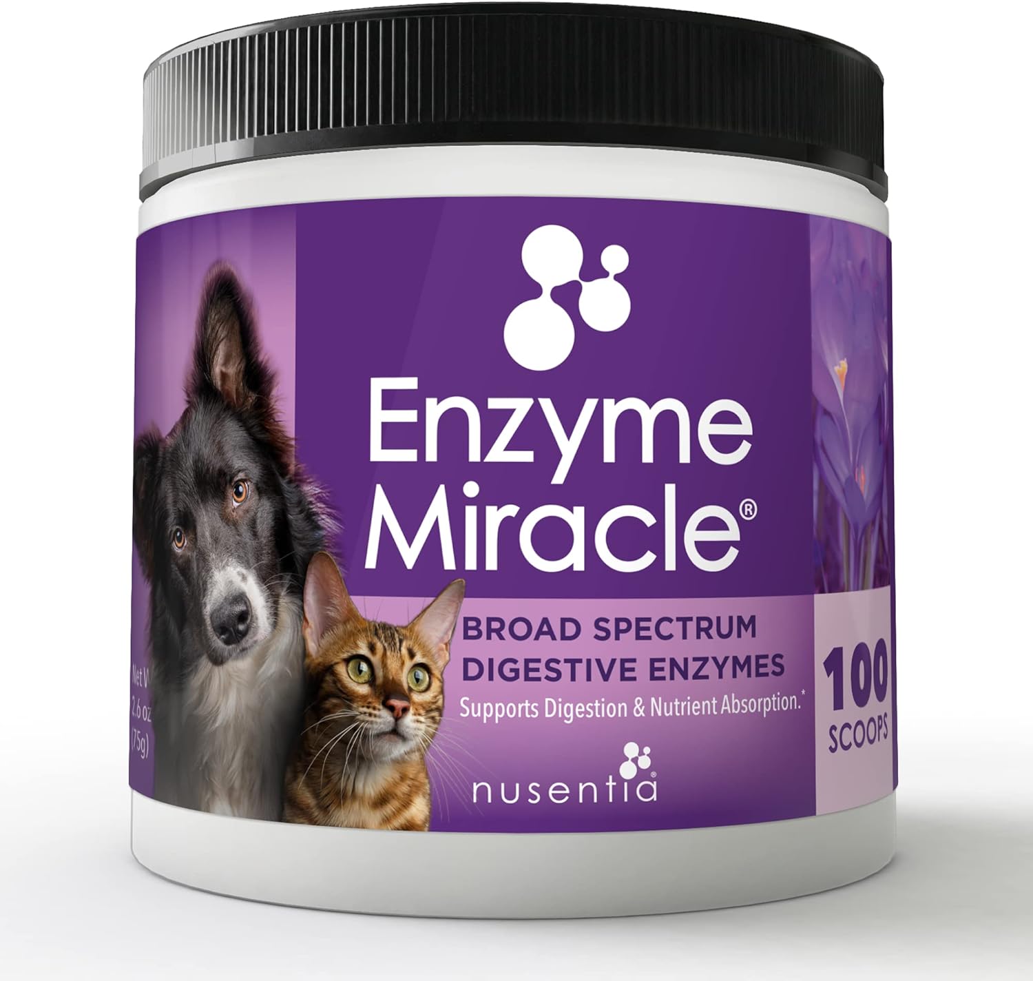 Enzymes for Cats & Dogs : Enzyme Miracle® (100 Servings) : for Digestive Stress, Pancreatic Concerns, and Healthy Weight Management.