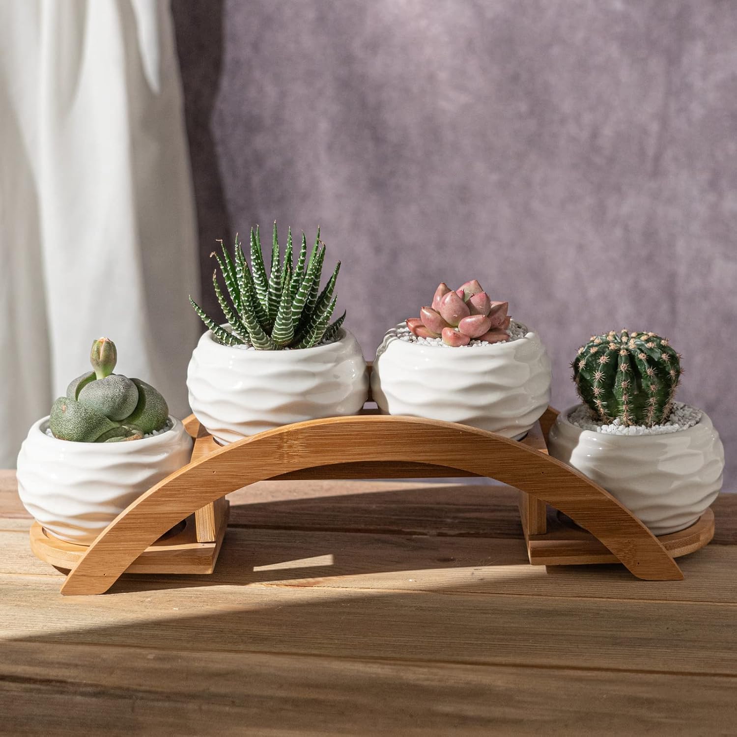 E-liu Eliu Cute Small Ceramic Succulent Pots and Stand Set, Pack of 4 | White Succulent Planter Pot with Drainage Fits Well In Windowsills