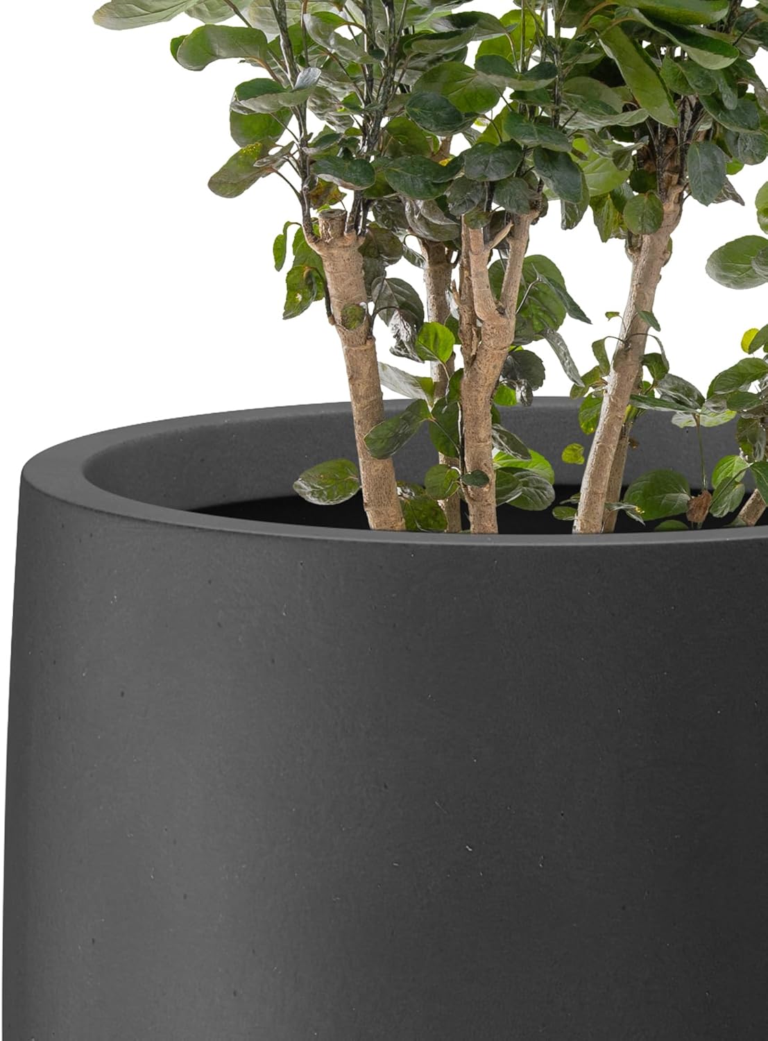 Kante Tall Concrete Planter 21.7" Modern White Floor Pot for Indoor Outdoor