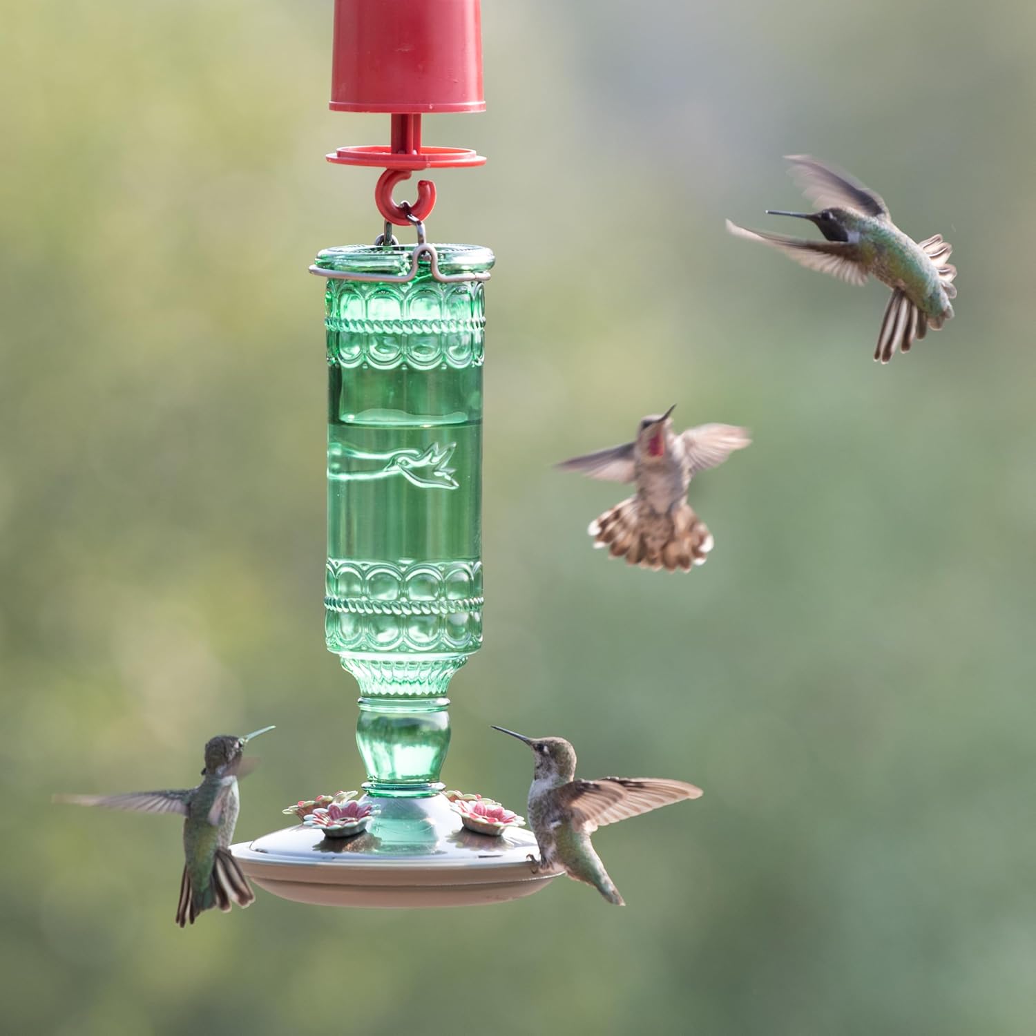Perky-Pet Antique Glass Bottle Hummingbird Feeder, 10 oz Capacity, Green | 4 Feeding Ports for Outdoors Hanging Bird Feeders, Backyard Garden Décor