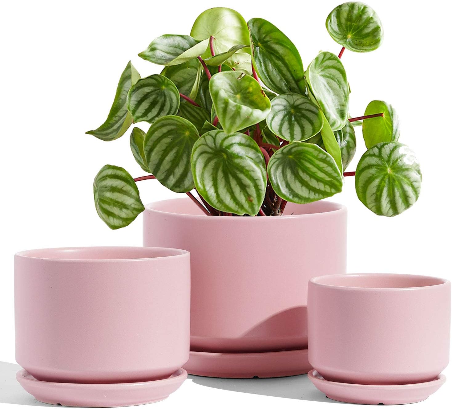 LE TAUCI Ceramic Plant Pots, 4.3+5.3+6.8 inch, Set of 3, Planters with Drainage Hole and Saucer, Indoor Flower Pot with Hole Mesh Pad, Gifts for Mom
