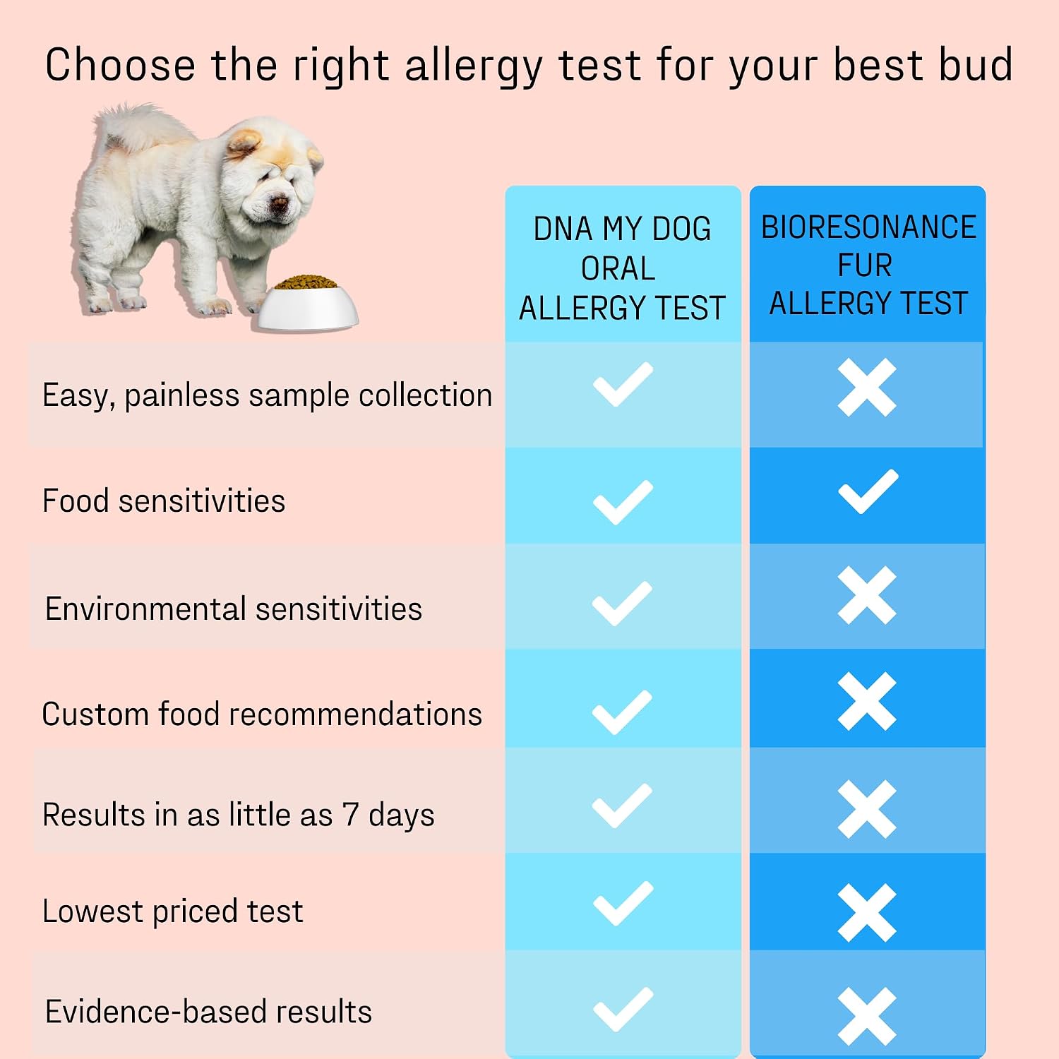 Vet-Recommended and Most Accurate Allergy Test for Itchy