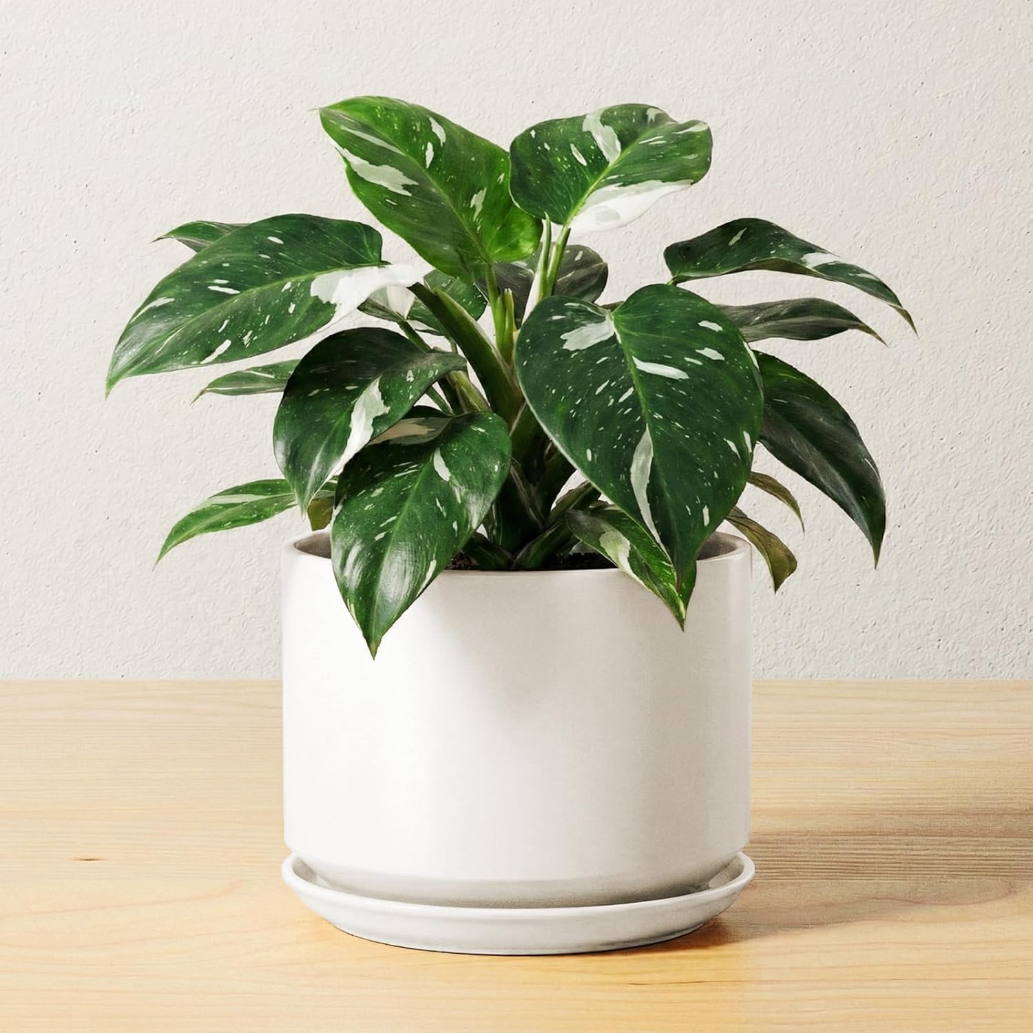 LE TAUCI Ceramic Plant Pots, 4.3+5.3+6.8 inch, Set of 3, Planters with Drainage Hole and Saucer, Indoor Flower Pot with Hole Mesh Pad, Gifts for Mom
