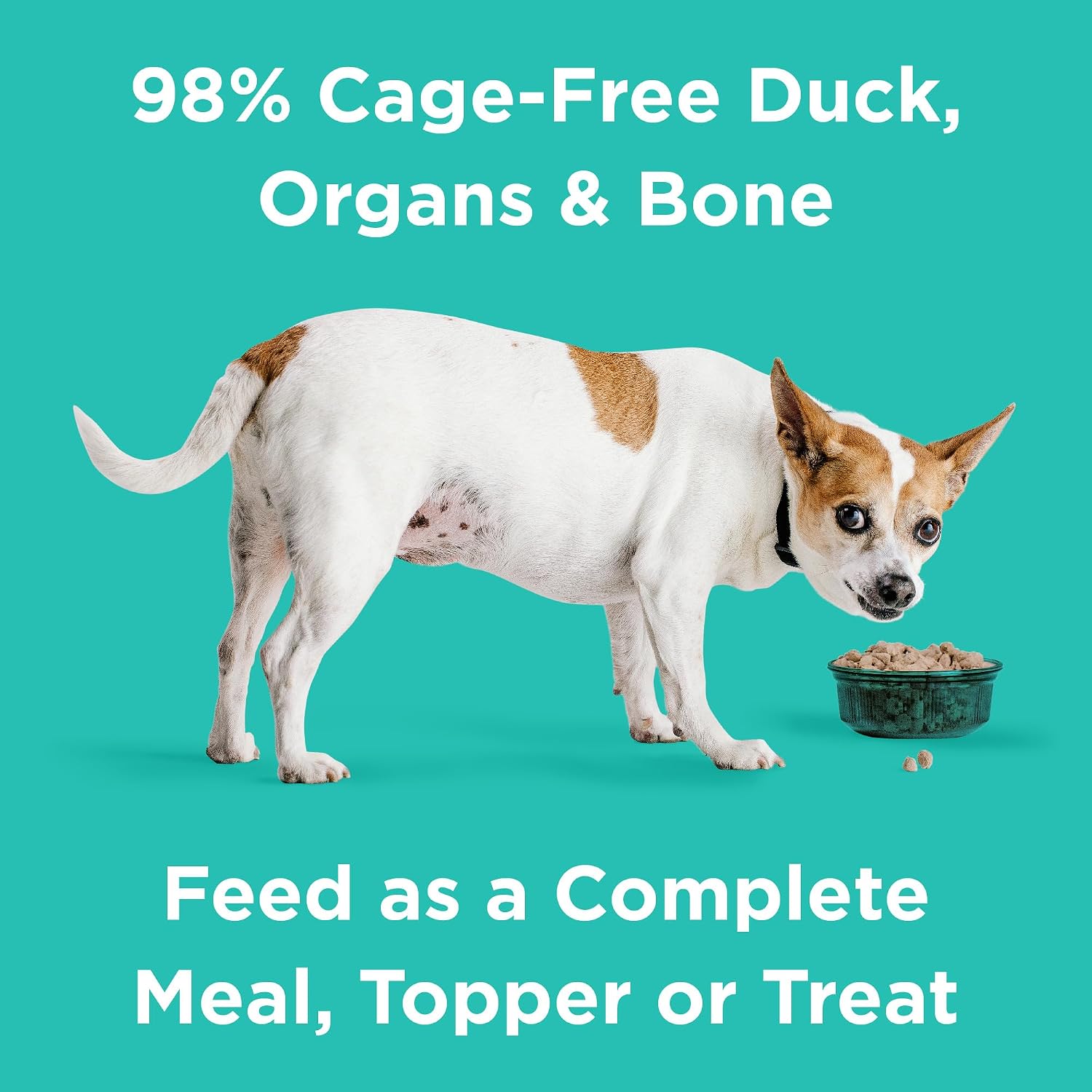 BIXBI Liberty Freeze-Dried Dog Food Topper & Treats, Beef – 98% Meat & Organs, No Refrigeration – USA Made, 26 oz