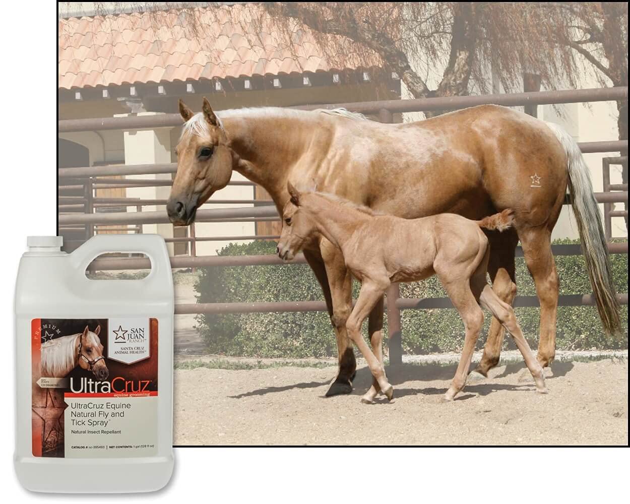 UltraCruz Equine Natural Fly and Tick Spray for Horses, 1 Gallon Refill