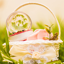 gift