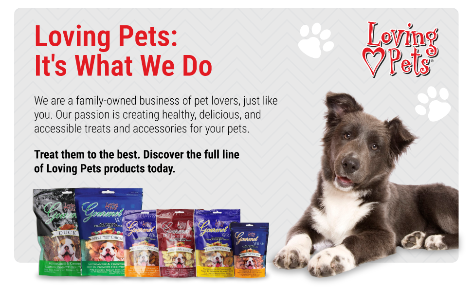 Module-5-Loving Pets: It's What We Do