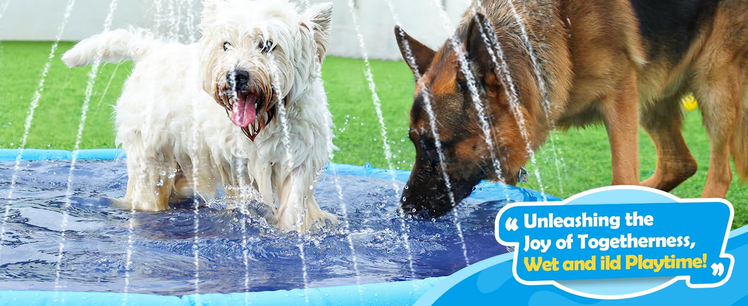 Splash pad,pets and kids rejoice together, and every moment of family time is shining with joy!