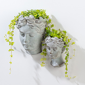 goddess planters on wall