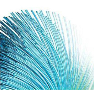 High Bend Recovery Bristles