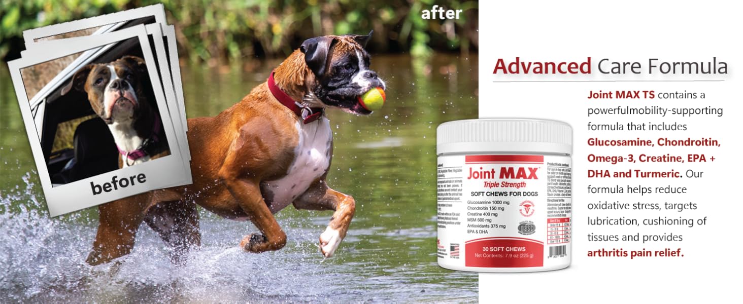 Result ad for Joint MAX TS chews, promoting mobility, joint health, and arthritis pain relief