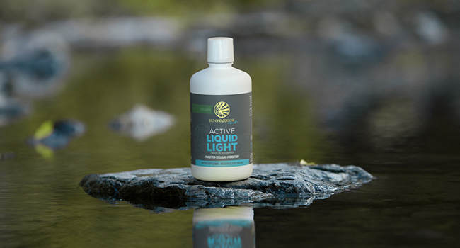A bottle of Sunwarrior Active Liquid Light on a rock in the middle of a tranquil stream.