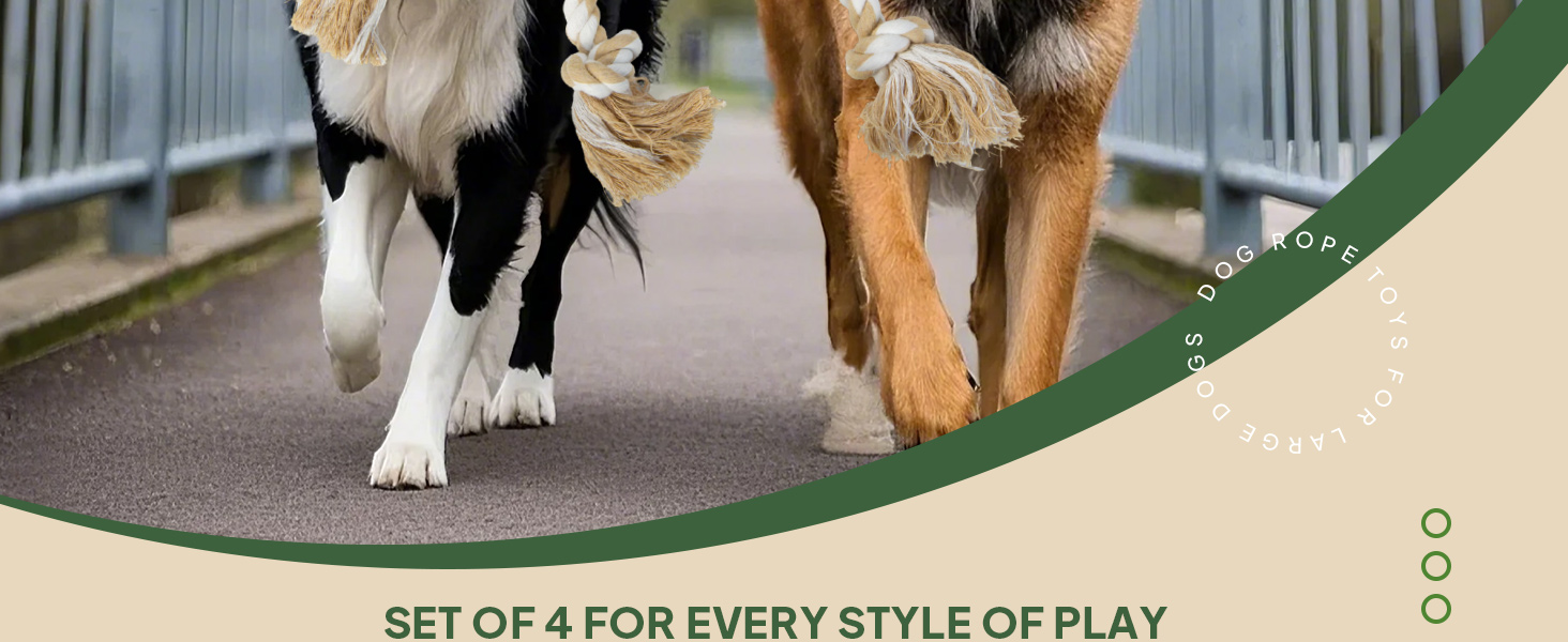 dog rope toy