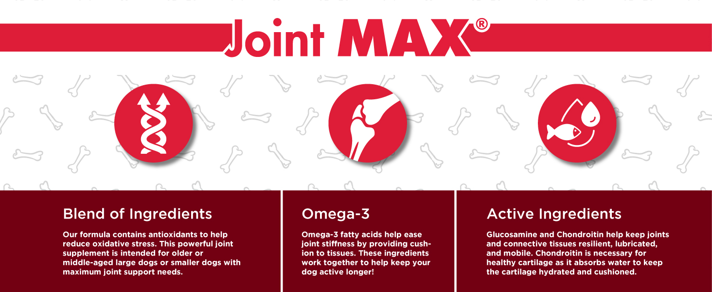 Joint MAX